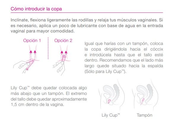 introd copa lily