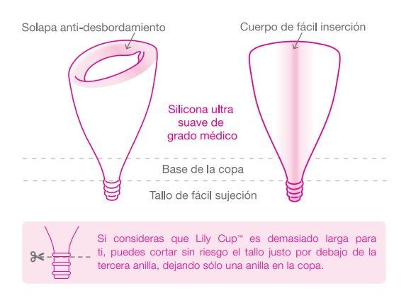lily cup ayb