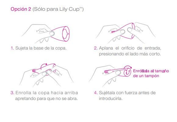 lily enroll